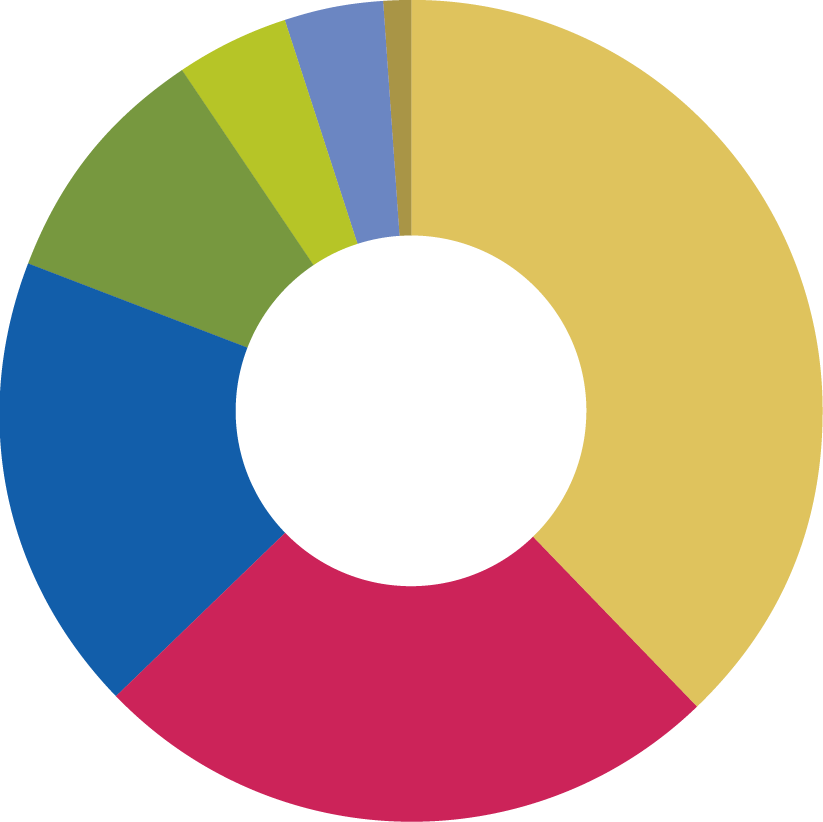 Pie chart of 2021 income