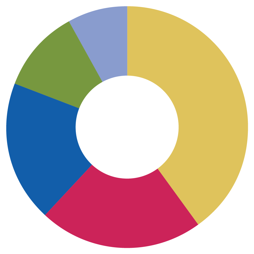 pie chart showing 2021 expenses