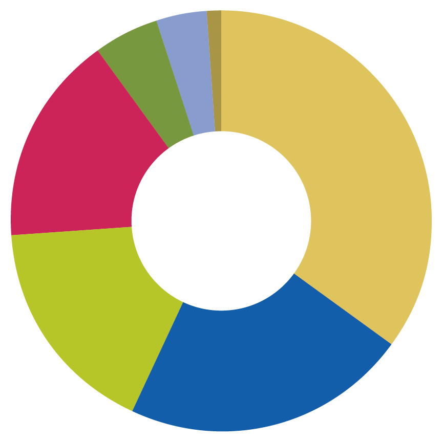 pie chart showing 2021 income