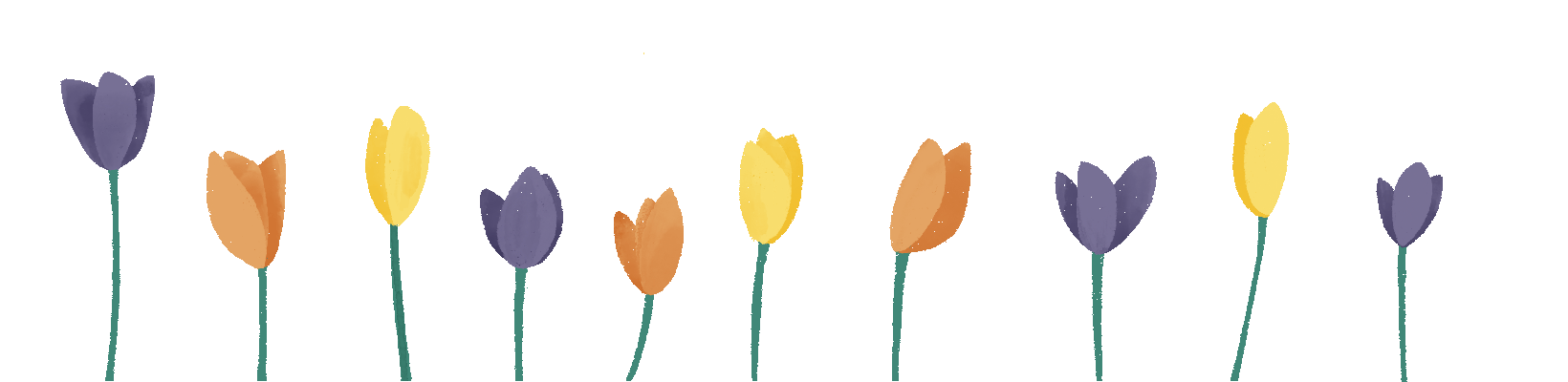 Spring! An illustration of tulips