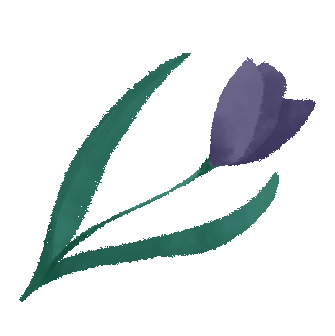 Tulip illustration